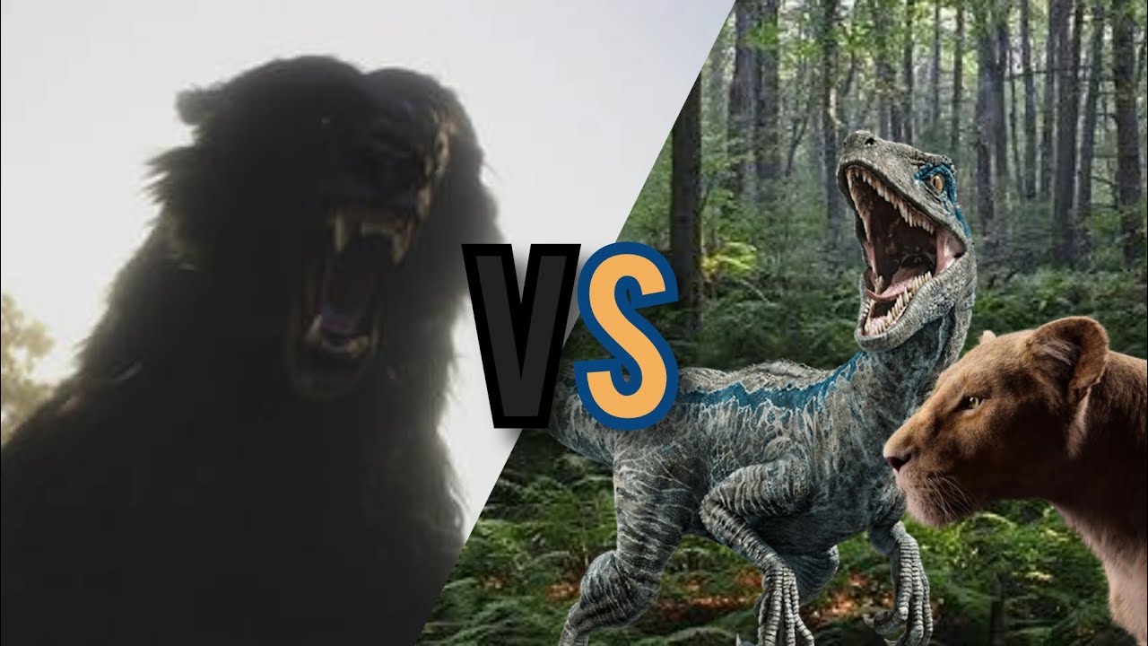 BLUE E NALA VS MOR'DU (Blue vs Nala - parte 2)