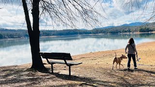 Vanlife Living Solo Female 50 + An Unexpected Day | Is That Cliche? | Ep. 57