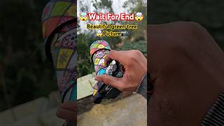 Wait For End🤯||Natural Green Tree Picture Click On a6400📷#shortvideo #photography #youtube #ytshorts