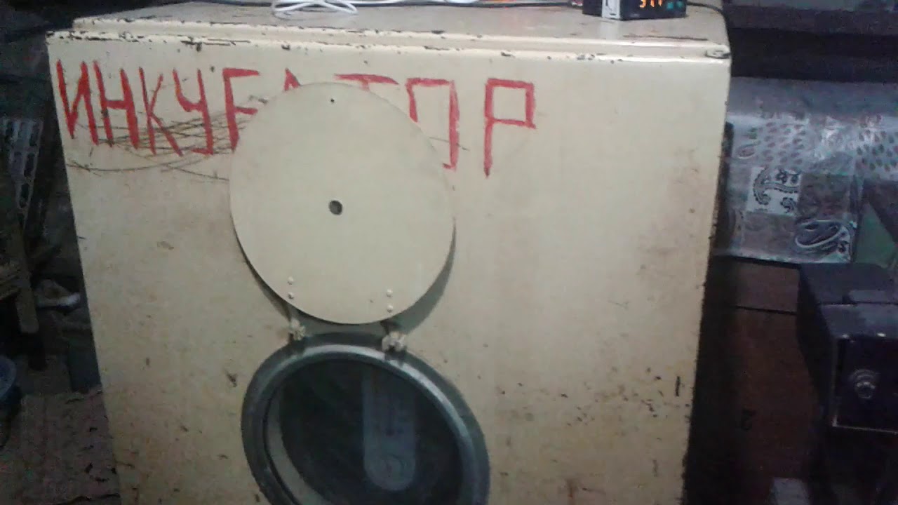 Inkubatorun dizinfeksiya edilmesi ve isledilme qaydalari.