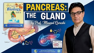 Pancreas: The Dual Gland | Insulin &amp; Glucagon