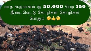 ரூ 50,000 மாத வருமானம் பெற 150 இடைவெட்டு தாய் கோழிகள் போதும் | Nattu Koli