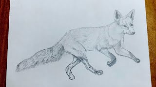 How to draw a fox very easy for beginners fox sketch draw session