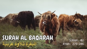 Surah Al Baqarah Ayah 275-286 | البقرة تلاوة عربية by Mishary Alafasy