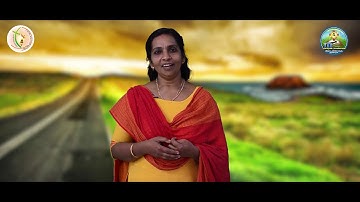 Sunday Catechism | Standard 4 | Chapter 15 | Part 2 | Mrs. Biji Abraham, Murickassery