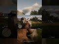 Arthur Kills Outlaws RDR2 Mission Female Suffrage