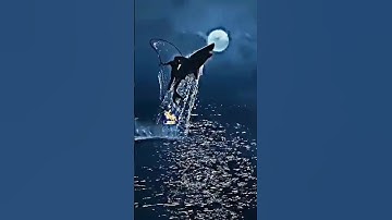 Jr ntr Attitude form Devara 🔥 || Attitute status #shorts #viralvideo #devara