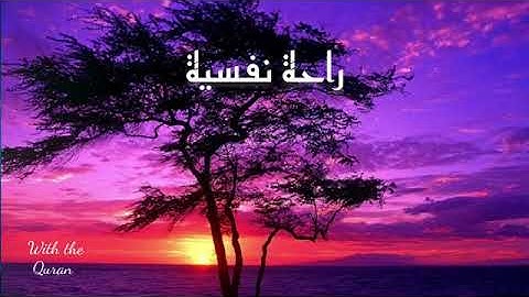 أجمل تلاوة بصوت خاشع .. ارح سمعك #قرآن #تلاوات #تلاوة#quran#telawt