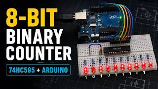 Amazing Binary Counter Video Demonstration