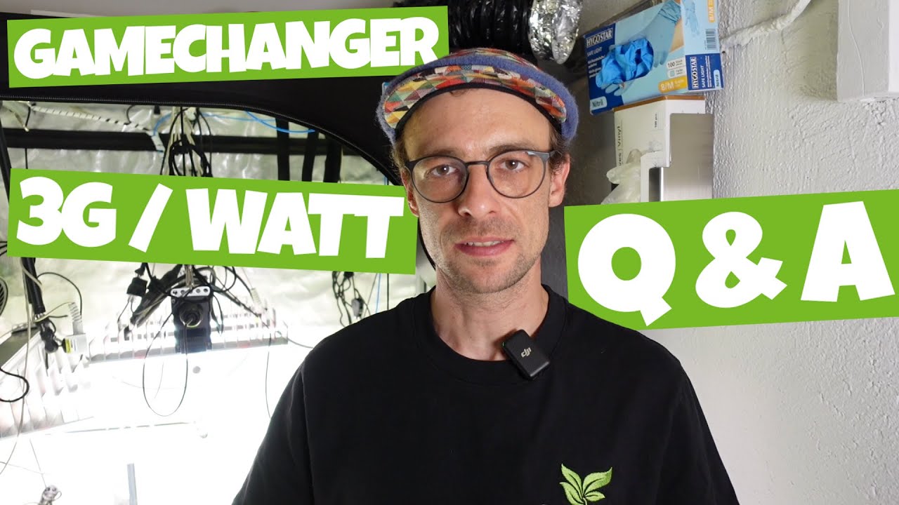 Drei Gramm pro Watt unmöglich?| Keine Abluft? | Eure Fragen zu unserem GROWEXPERIMENT! Teil 4