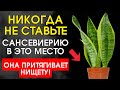 СРОЧНО уберите её из этих мест! Она высасывает деньги из дома