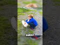 People reunited With There Pet After a Long Time #shorts #reunited