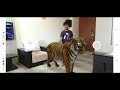 Coolsam with tiger google view in 3d