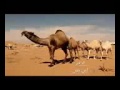 نيق نيق