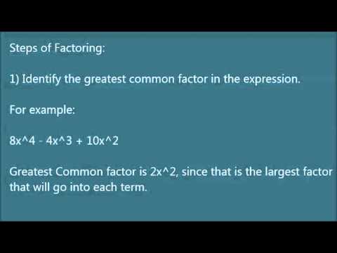 Factoring Polynomials - YouTube