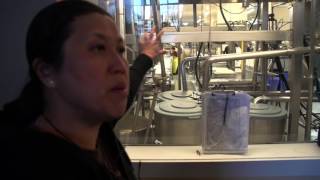 Download Lagu Hodo Soy Beanery, GCIA - San Francisco CA MP3