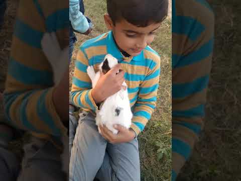 Little baby of