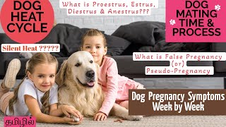 Dog Heat Cycle |Guide for mating|Dog Pregnancy Signs #dogheatcycle #mating #dogpregnancy #doglovers by Retriever Glitz 437 views 10 months ago 7 minutes, 39 seconds