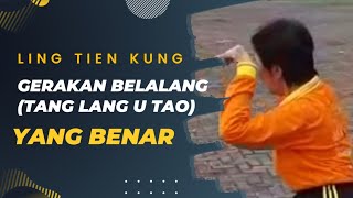 Download Lagu Gerakan Belalang Ling Tien Kung (Tang Lang U Tao) Oleh Ibu Imey (Suhu) MP3