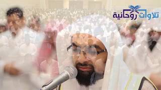اجمل تحبير واخشع ما قرأ الليلة الثامنة   الشيخ ناصر القطامي - اسمعها