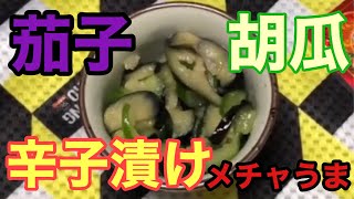 ナスときゅうりの絶品からし漬けの作り方　ご飯の友や酒のあてになります【茄子レシピ】【胡瓜レシピ】