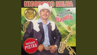 Video thumbnail of "Nicodemo Mejia - Pero llegaste tú"