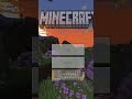 The Ultimate Minecraft Hardcore SMP #shorts