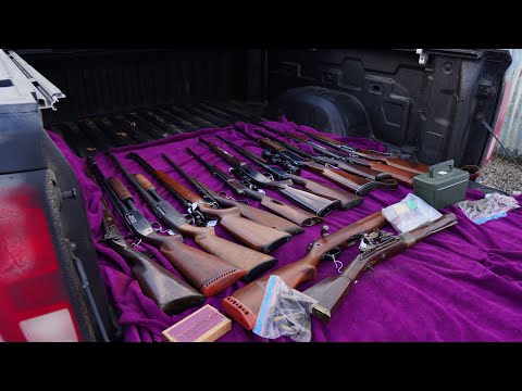 I bought $5,000 worth of Guns