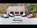 Shelby Mustang Car Collection!!