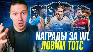 НАГРАДЫ ЗА WL ЗА 16 ПОБЕД | ПЕРВЫЕ ТОТСЫ | ОБНОВИЛ СОСТАВ | FC 24 PS 5