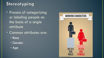 Individual Behavior in an Organization 1