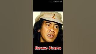 Endang kurnia-nuraini