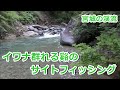 ｲﾜﾅ群れる谿のｻｲﾄﾌｨｯｼﾝｸﾞ / ｲﾜﾅ31㎝ ~宮城の渓流~ / みちのく釣りの旅 ﾌﾗｲﾌｨｯｼﾝｸﾞ渓流釣り(4K) fly fishing