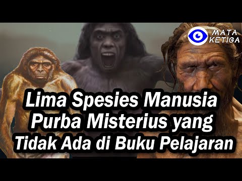 Video: Silet Patrice D Menegaskan Leluhur: Odyssey Manusia Tidak Mengulas Dengan Baik Kerana Pengkritik 