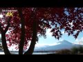 [4K Ultra HD] 美しい河口湖の紅葉と富士山 Beautiful Mt.Fuji and Lake Kawaguchi in autumn