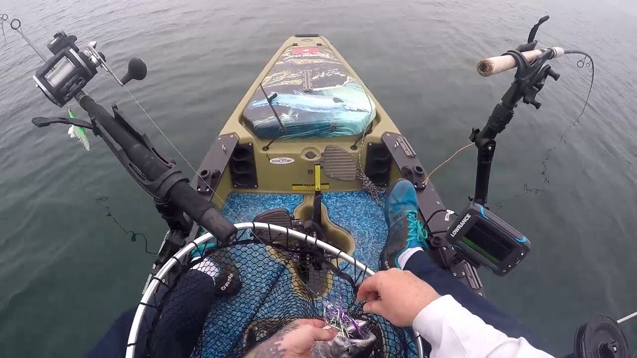 Steelhead on Torpedo divers. July 2017