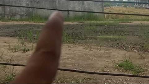 🔴 bán đất thổ cư ấp 6 xã Phước tuy cần đước long an.