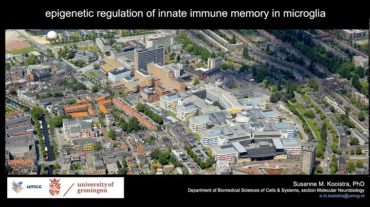 Epigenetic regulation of innate immune memory in microglia