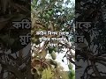 কঠিন বিপদ থেকে মুক্তির পাওয়ার দোয়া।mizanur_rahman_azhari#dua#viral#shortsvideo #islamicwaz