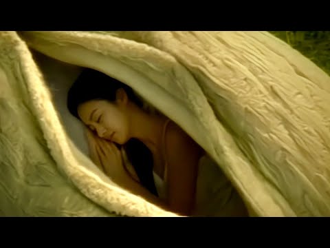 2003 新•爽健美茶｜Power My Beauty