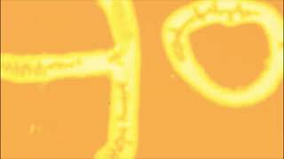 film burn overlay full hd free download | copyright free