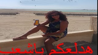 منى برنس تتحدى السيسى وتصبح اول مرشحة الرئاسة  وتقول هدلعكم ياشعب منى البرنس الدكتورة الراقصة