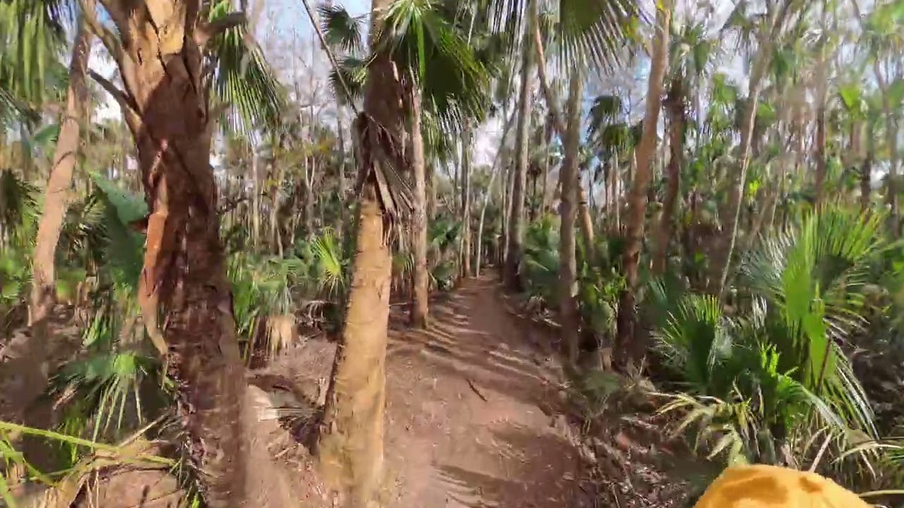 Black Bear Wilderness Area, Flat Version, Finish