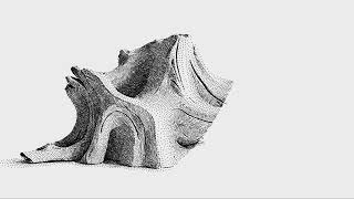Driftwood 20260428c