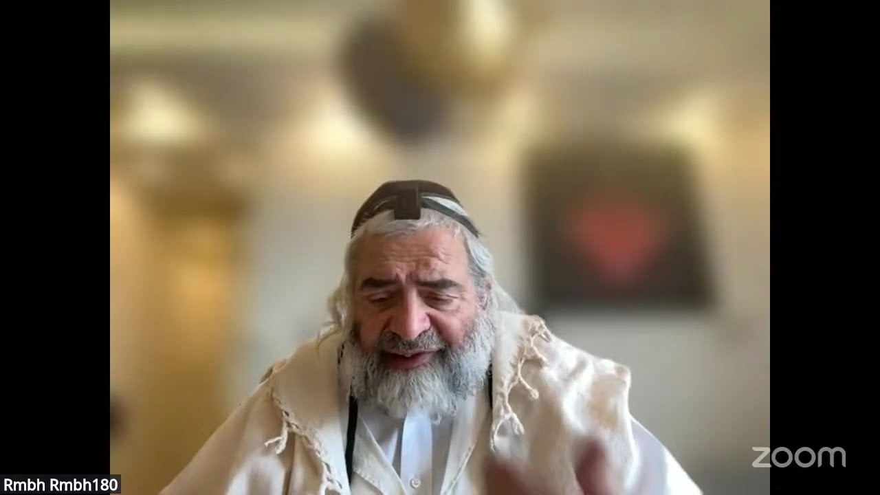 Daf HaYomi - Zevahim 84