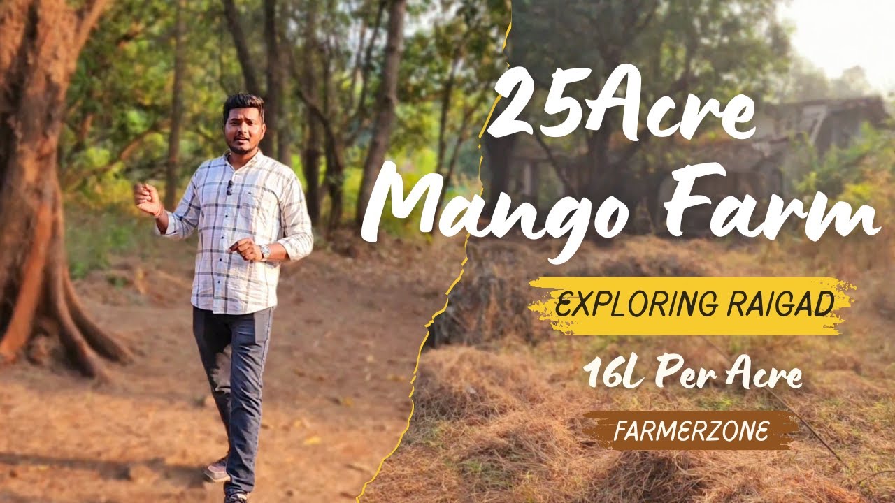 25Acre Developed Mango Farm For Sale @ 16L Per Acre