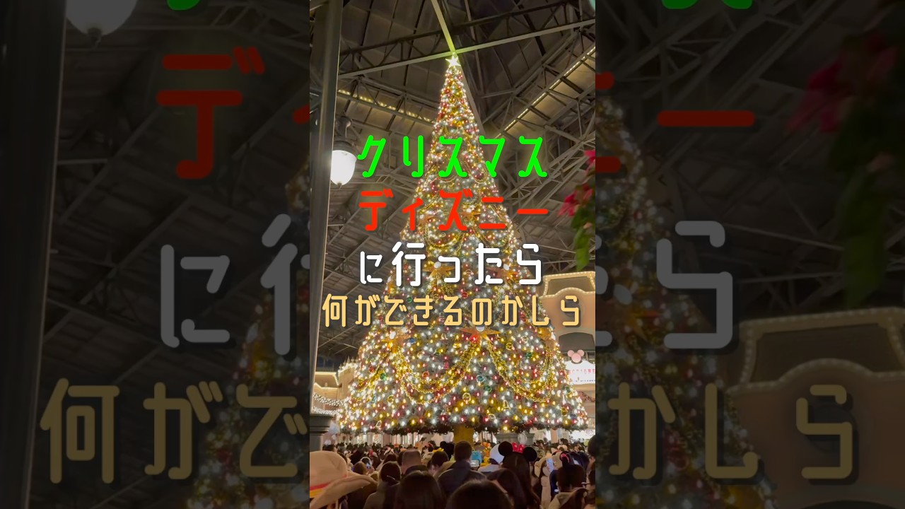 クリスマスディズニーに行ったら何ができるのかしら #ディズニー #クリスマスディズニー #クリスマスはもう終わってんねん