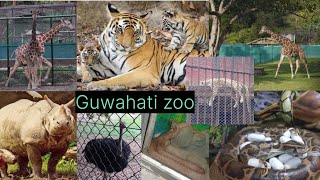 Exploring Guwahati Zoo @arenanivlogs2056 🐍🐼🐯/28/04/24🙉🐧🐆