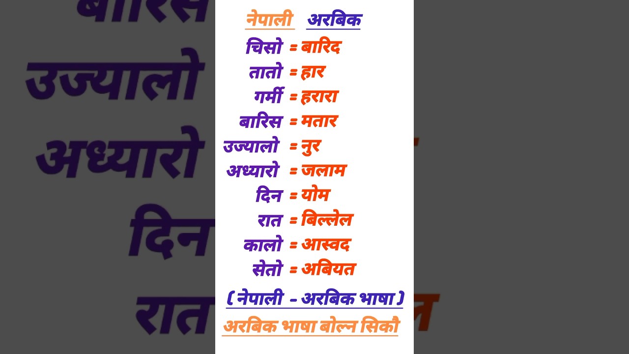 अरबिक भाषा नेपालीमा सिकौ | Arabic vasa Nepali ma | Arabic to Nepali | Arabhi Bhasha