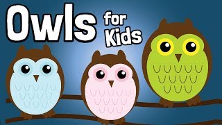 Owls for Kids